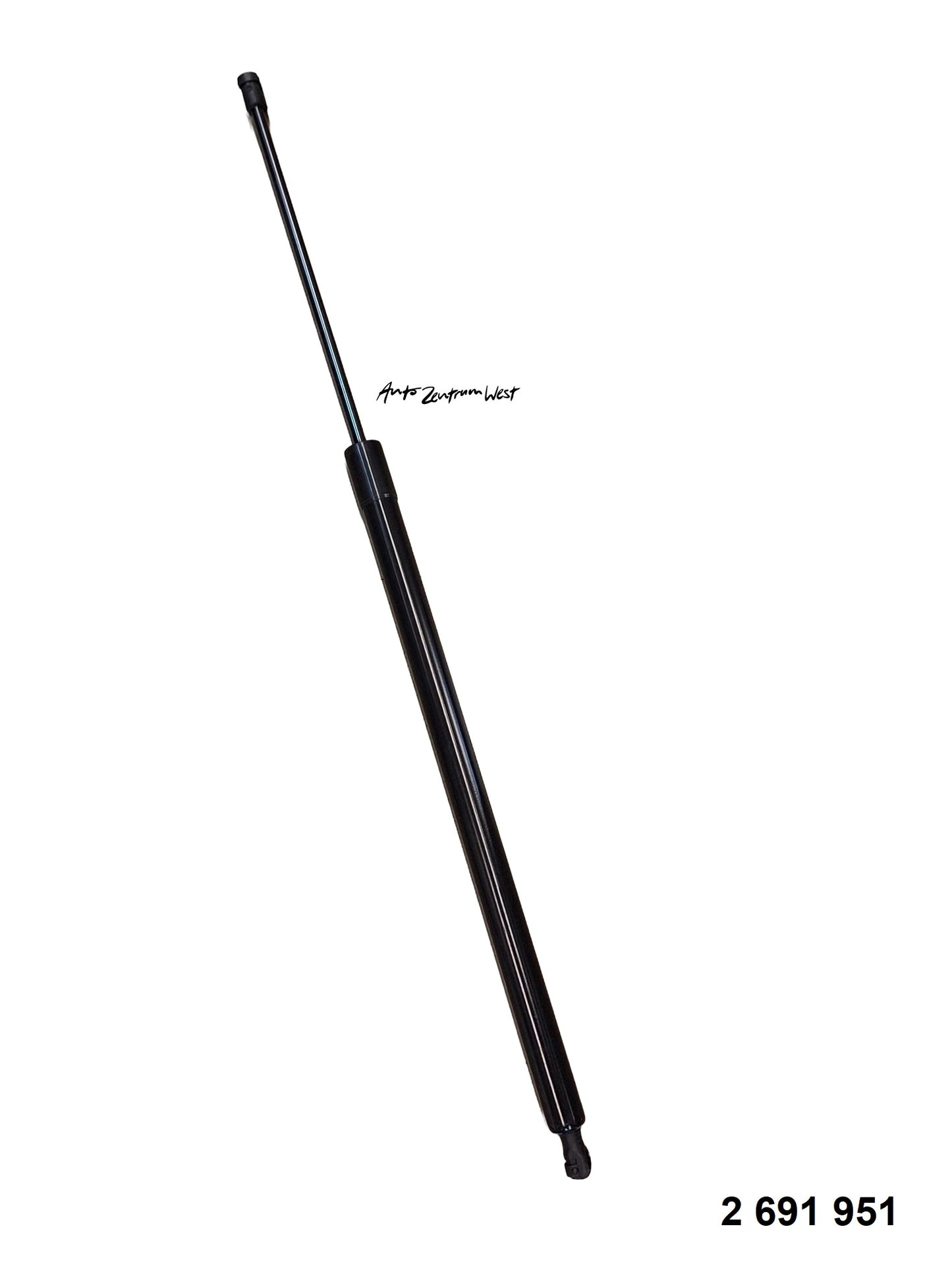 GASDRUCKDÄMPFER ( 2839961 )