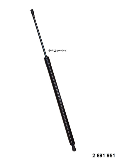 GASDRUCKDÄMPFER ( 2839961 )