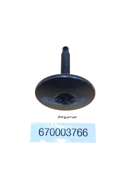 SCHRAUBE M6X1 T55