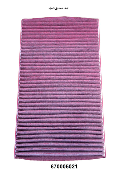 POLLEN-FILTER