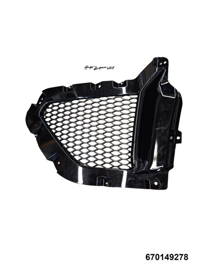 GRILL VORN LINKS